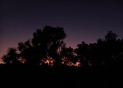 21st Apr 2022 - Silhouettes at dawn 