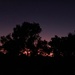 Silhouettes at dawn  by salza