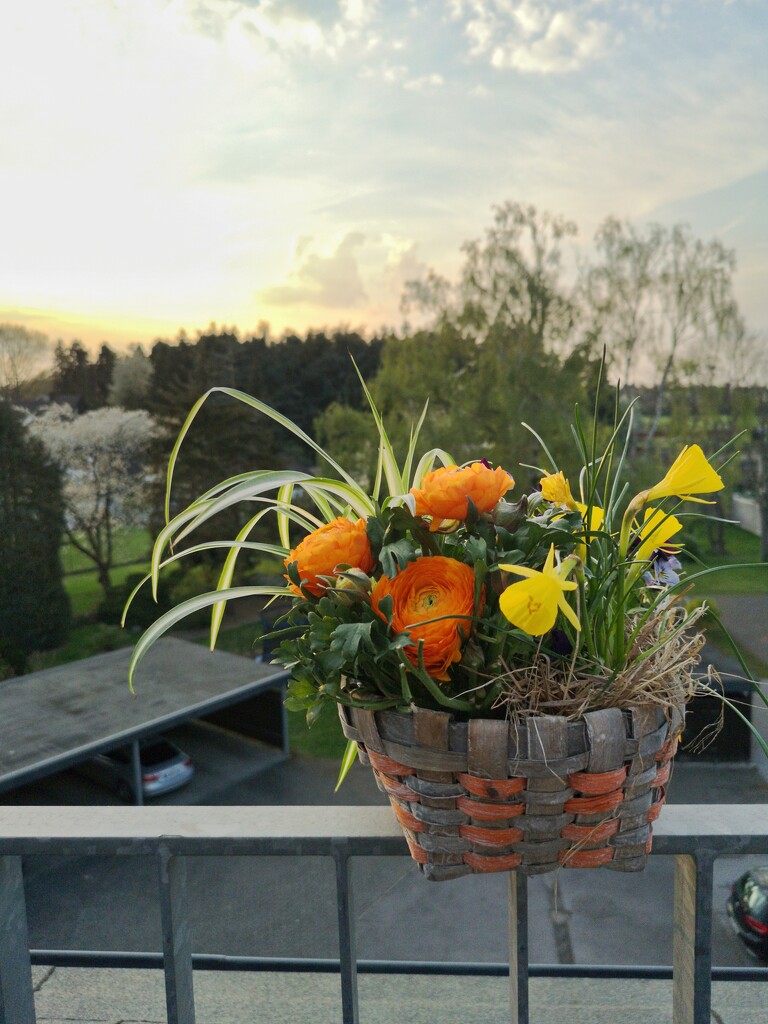 Spring on our balcony by ctst