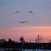 A Smiley Face in the Sky by bruni