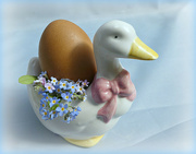 20th Apr 2022 - Not a duck egg.