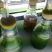 Algae by belucha