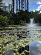 22nd Apr 2022 - Botanic Gardens
