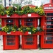 Springtime for the telephone boxes! by anitaw