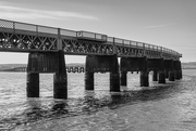 22nd Apr 2022 - The Tay Rail Bridge