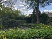 22nd Apr 2022 - View over the pond