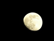 13th Apr 2022 - The Moon