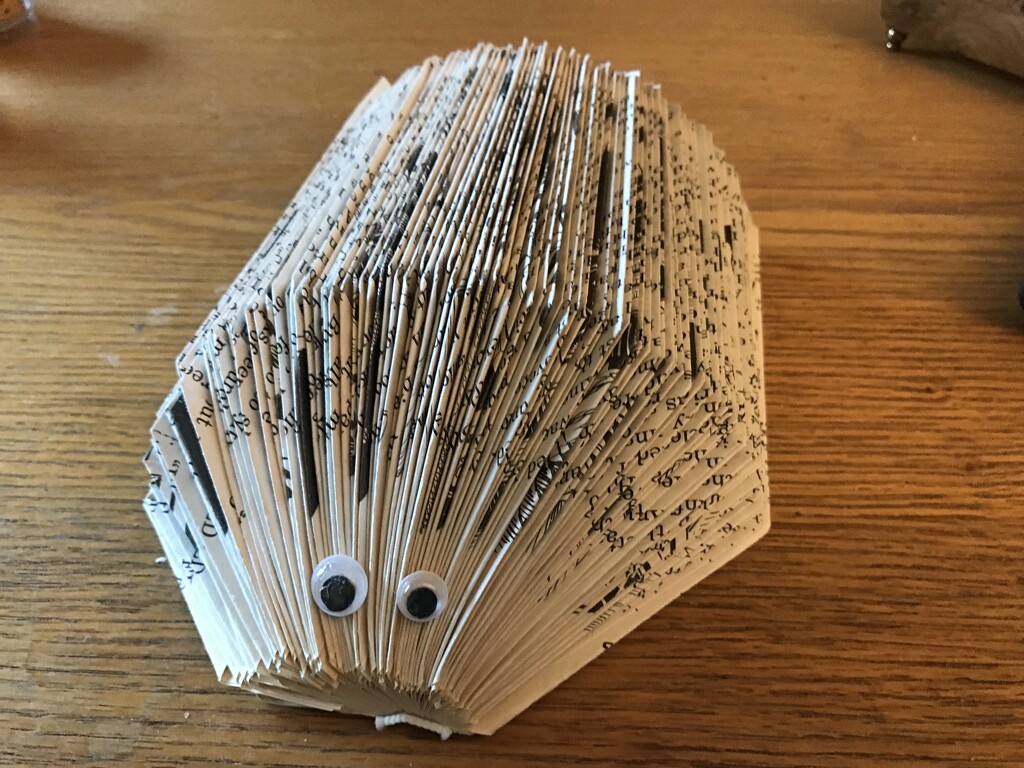 Book Art by allie912