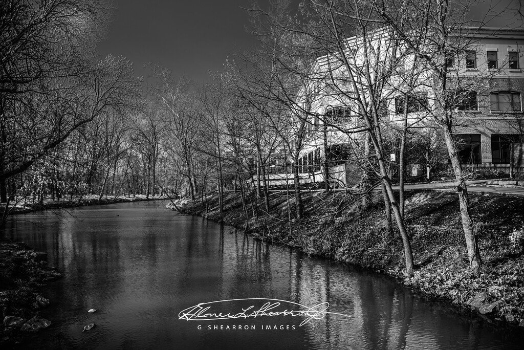 On the banks of Mill Creek (best viewed on black) by ggshearron
