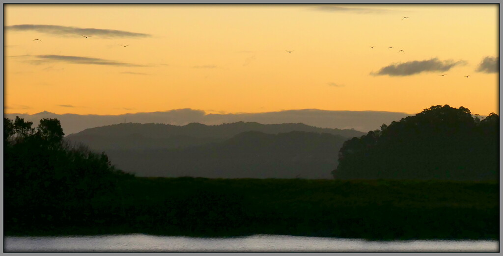 Sunset over the Manukau  by dide