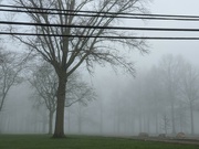 22nd Apr 2022 - Foggy Morning 