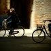 Ferrara city of bicycles  by caterina