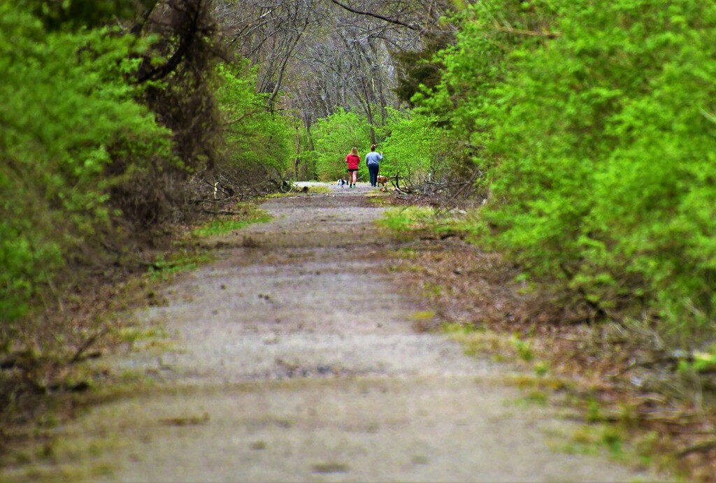 A Walk on the Flint Hills Trail by kareenking