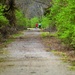 A Walk on the Flint Hills Trail by kareenking