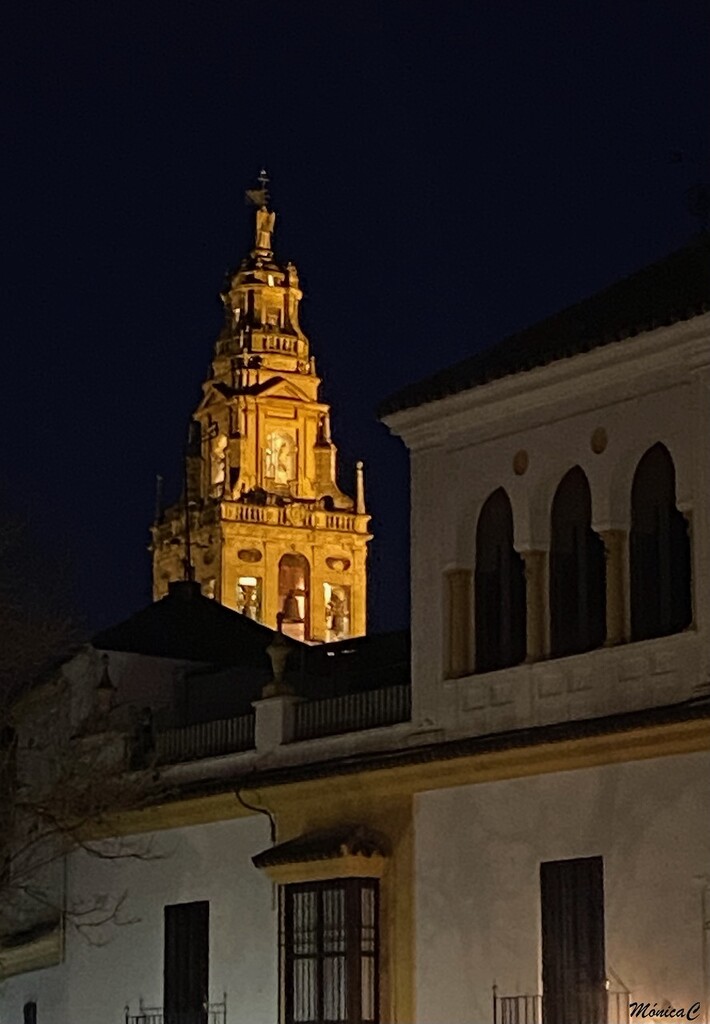 Cathedral tower at night by monicac