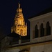 Cathedral tower at night by monicac