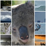 24th Apr 2022 - Australian creatures and features