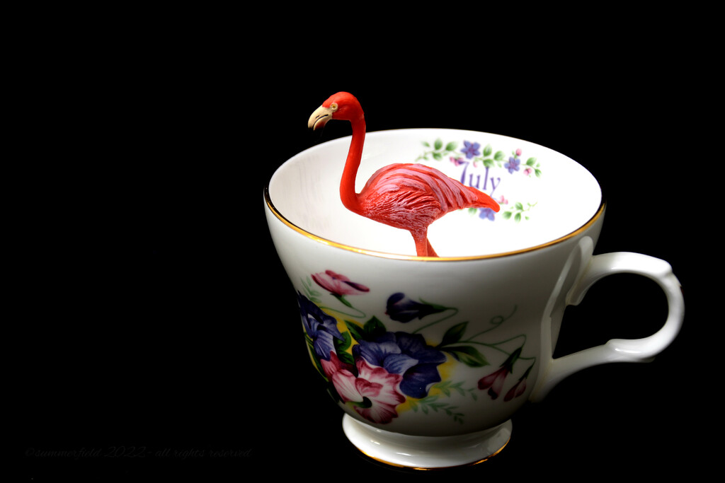 flamingo in a tea cup by summerfield