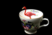 23rd Apr 2022 - flamingo in a tea cup