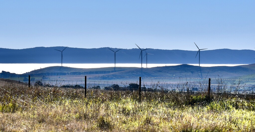 Wind Farm on Lake George by galactica