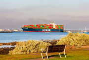 24th Apr 2022 - Container Ship