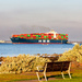 Container Ship by briaan