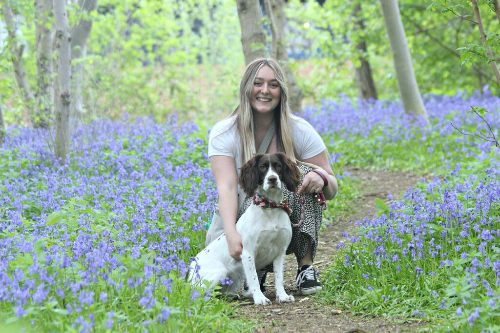 Walking in the Bluebell Wood  by wendyfrost