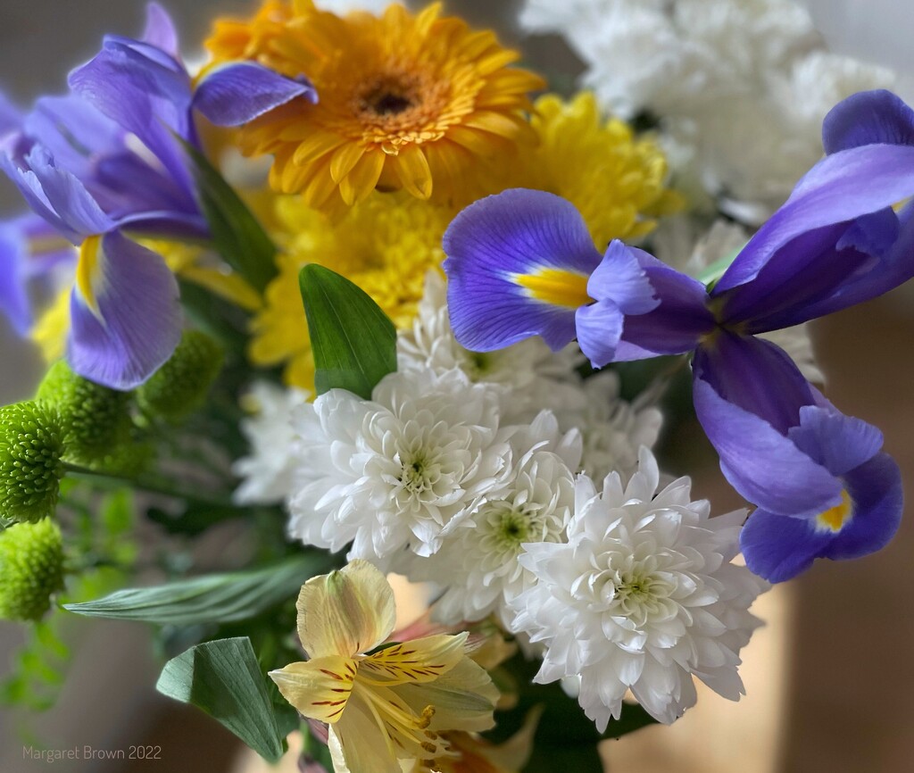 Iris Chrysanthemum and Gerbera by craftymeg
