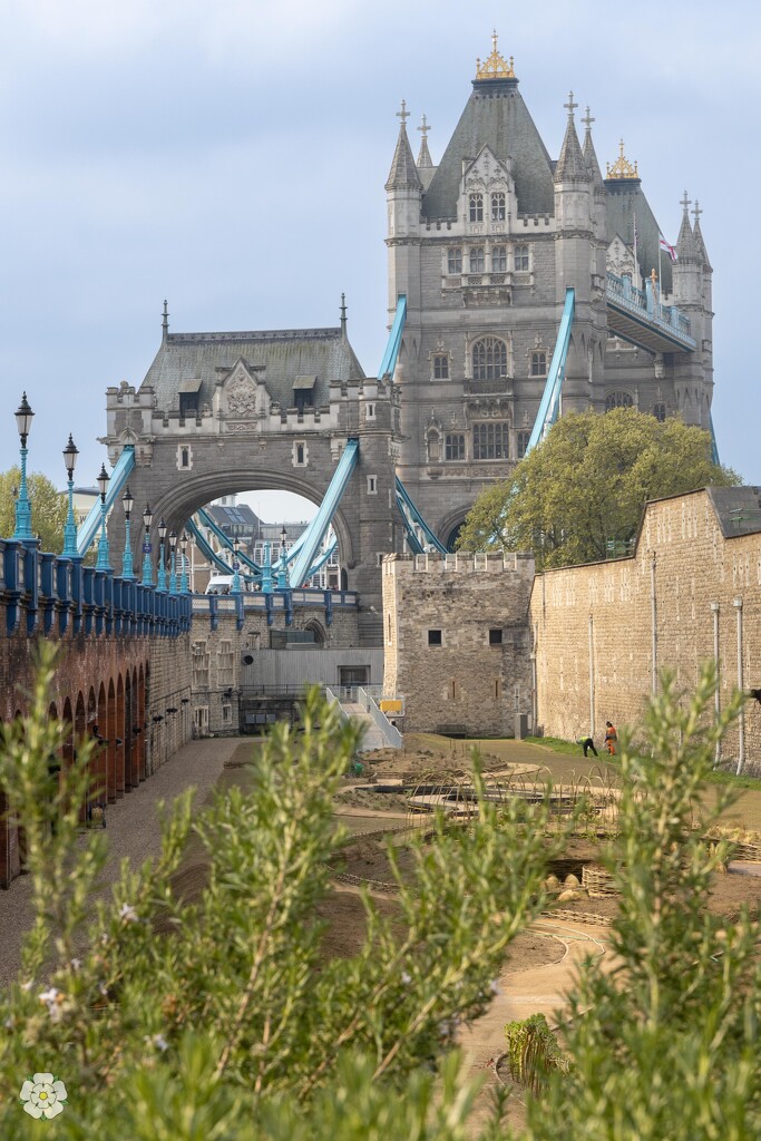 Tower Bridge by lumpiniman