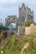 23rd Apr 2022 - Tower Bridge