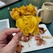 Potato flower by clearday
