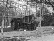 24th Apr 2022 - The Christmas Tractor