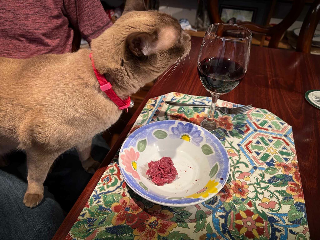 His lordship's dinner! by pusspup