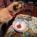 His lordship's dinner! by pusspup