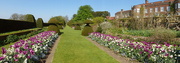 25th Apr 2022 - the tulip beds and house, Hinton Ampner