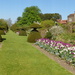 the tulip beds and house, Hinton Ampner by quietpurplehaze