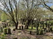 24th Apr 2022 - Cemeteries 