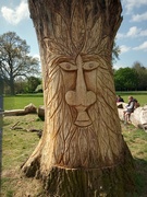 25th Apr 2022 - A wood carving