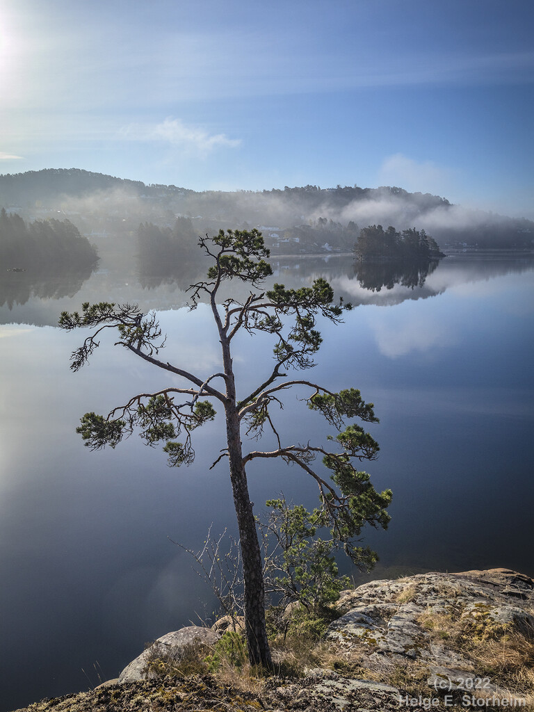 A pine tree and some islands in the mist by helstor365