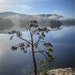 A pine tree and some islands in the mist by helstor365