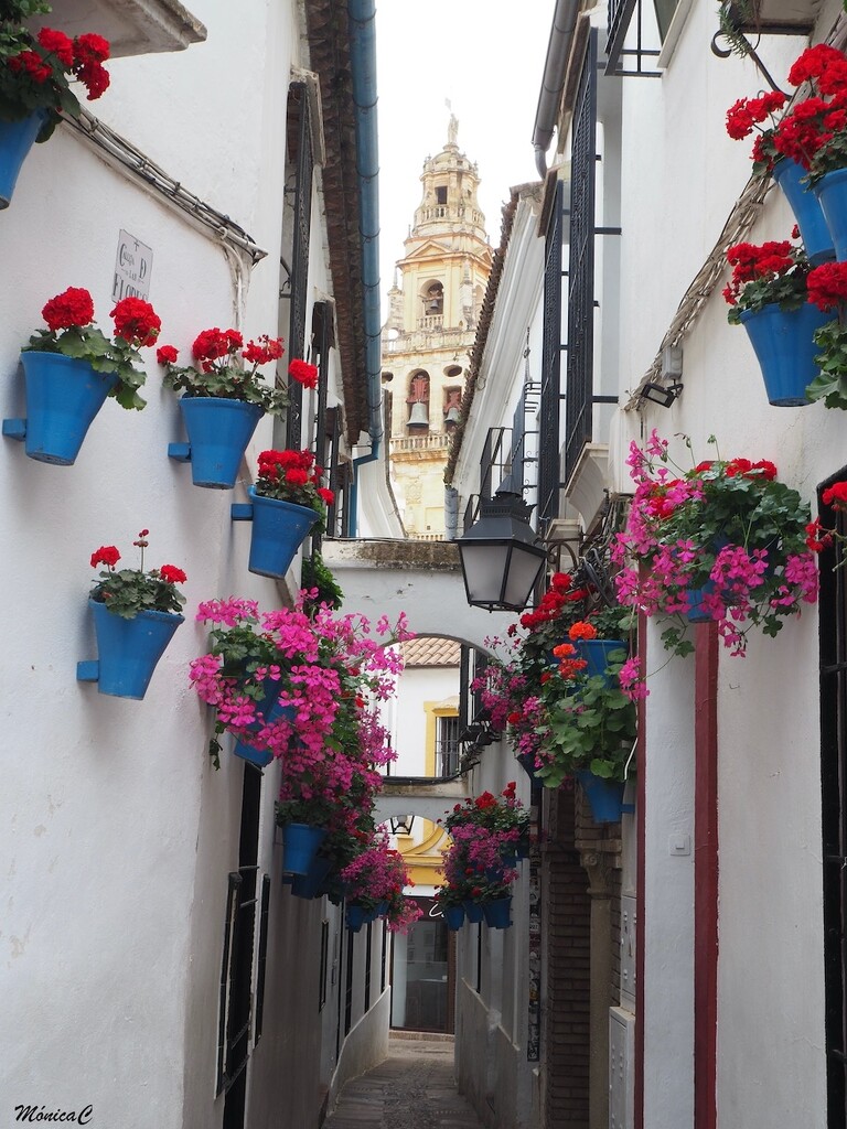 A street in Córdoba by monicac