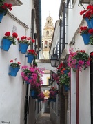 25th Apr 2022 - A street in Córdoba