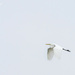 White Egret Flying Out of the Mist  by jgpittenger