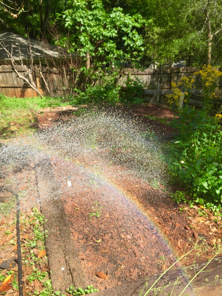 Making a rainbow by margonaut