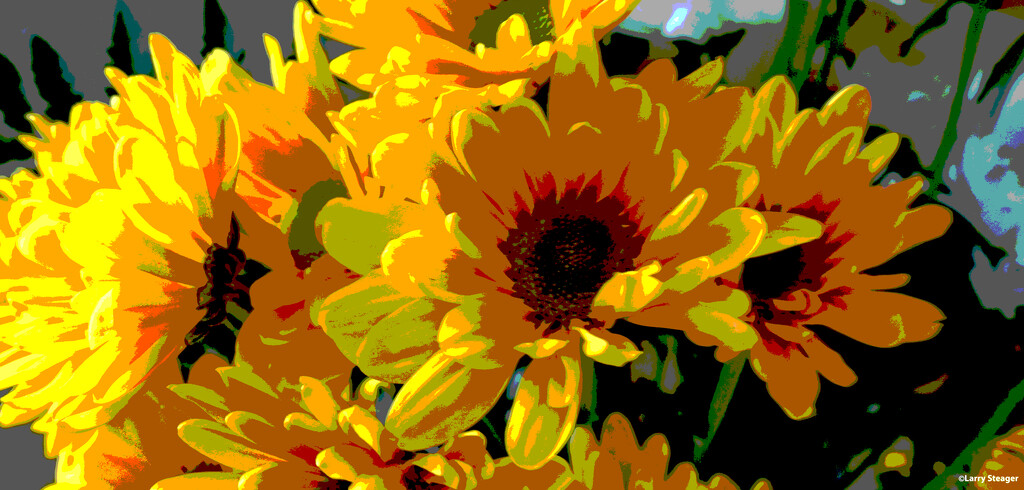 Yellow-Orange Daisy filtered by larrysphotos