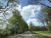 26th Apr 2022 - Sunny sky with some clouds