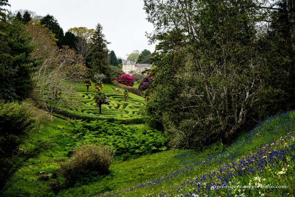 Glendurgan Gardens by nigelrogers