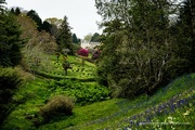 21st Apr 2022 - Glendurgan Gardens