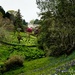 Glendurgan Gardens by nigelrogers