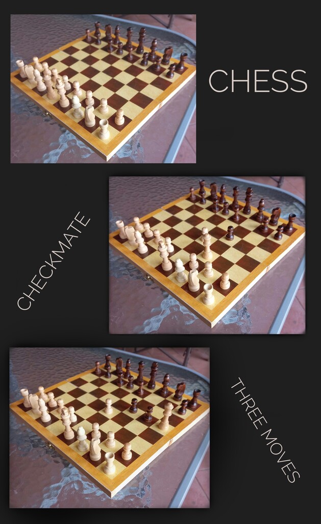 Playing Chess by salza